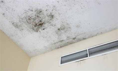 Ceiling Damp Patches: Common Causes and。